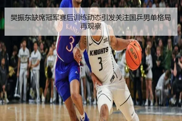 樊振东缺席冠军赛后训练动态引发关注国乒男单格局再观察
