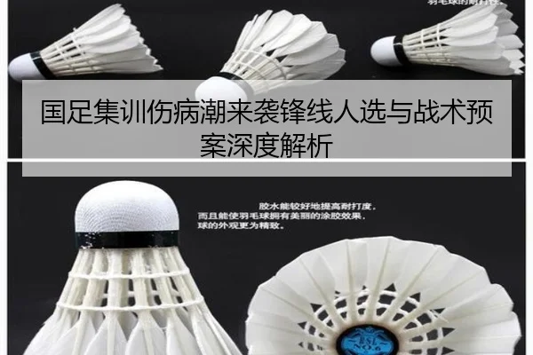 国足集训伤病潮来袭锋线人选与战术预案深度解析